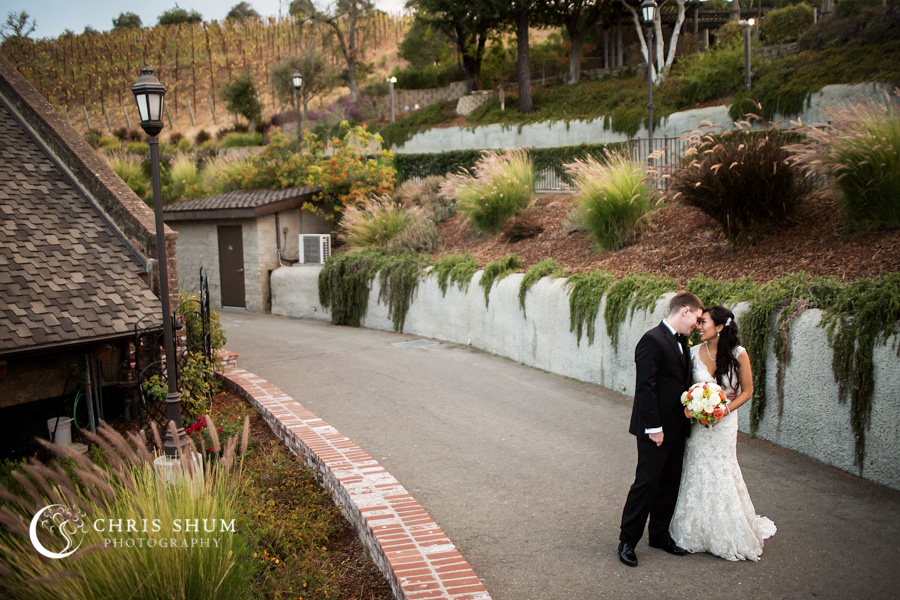 San_Francisco_wedding_photographer_Cupertino_Juniper_Hotel_Saratoga_Mountain_Winery_30